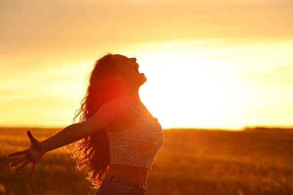 Perfil Uma Mulher Excitada Silhueta Gritando Pôr Sol — Fotografia de Stock