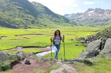 Güzel bir vadide sırıklarla yürüyen bir yürüyüşçünün ön görüntüsü.