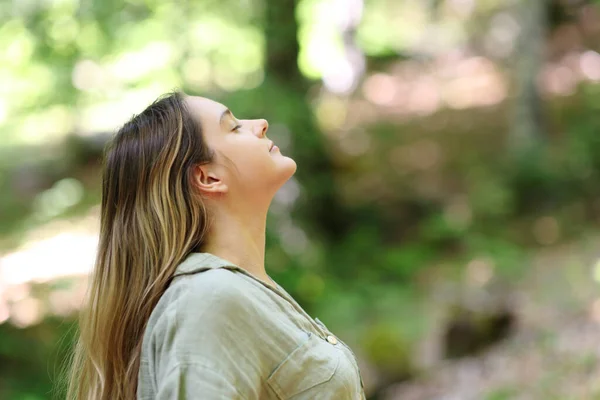 Profile of a woman breathing in a forest fresh air