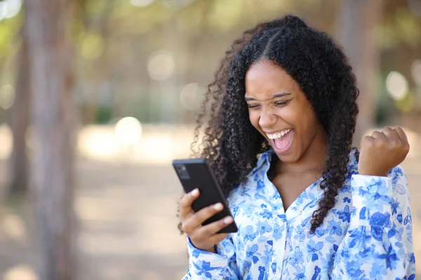 Excited black woman checking phone and celebrating good news in a park