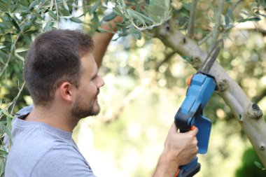 Bahçede elektrikli testereyle ağaç dalını budayarak mutlu bir adam