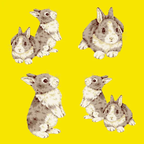 Colección Bocetos Conejo Dibujados Mano —  Fotos de Stock