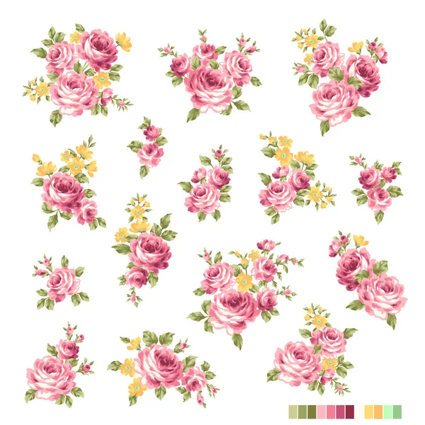 Beautiful Rose Illustration Material Collection — Stock Vector