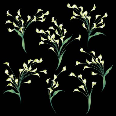 Collection of beautiful calla lily materials,