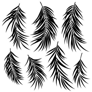 Güzel eğrelti otu koleksiyonu vektör malzemesi bırakır,