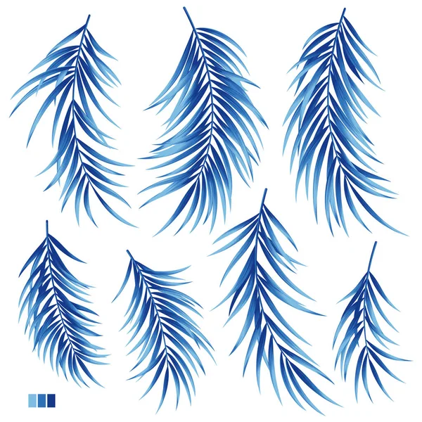 Collection Beautiful Fern Leaves Vector Material — Stock Vector