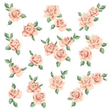 Tekstil tasarımı için ideal gül malzemeleri koleksiyonu,