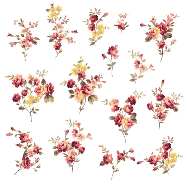 Колекція Трояндових Квіткових Матеріалів Створених Старомодним Зображенням — стоковий вектор