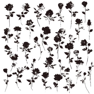 Güzel ve sevimli gül taşıyıcı malzeme koleksiyonu,