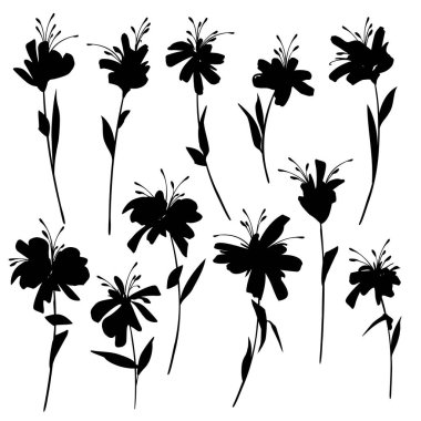 Çiçek desenleri yapmak için en iyi çiçek malzemesi,