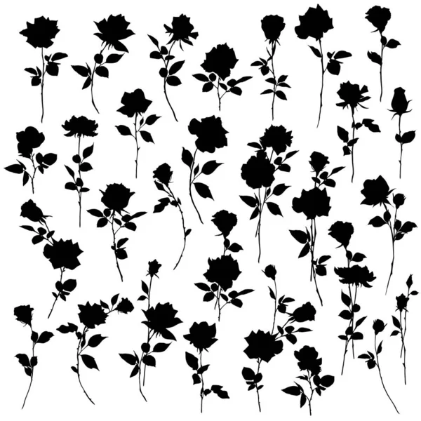 Güzel ve sevimli gül taşıyıcı malzeme koleksiyonu,