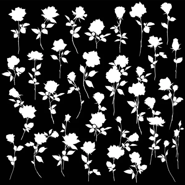 Güzel ve sevimli gül taşıyıcı malzeme koleksiyonu,