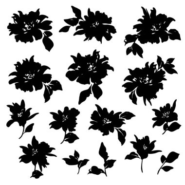 Güzel ve sevimli çiçek vektör malzeme koleksiyonu,