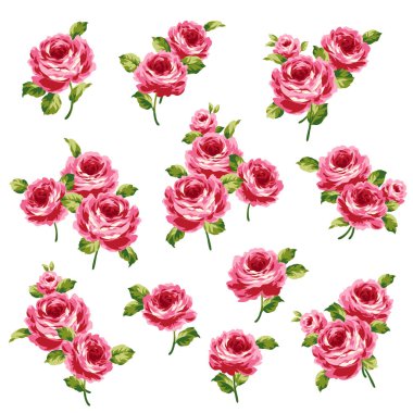 Tekstil tasarımı için ideal gül malzemeleri koleksiyonu,