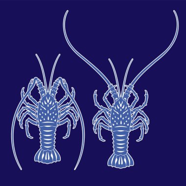 Japon stili ıstakoz illüstrasyonu.,