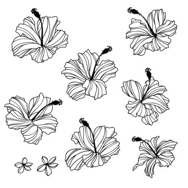 Etkileyici ve güzel amber illüstrasyon koleksiyonu,