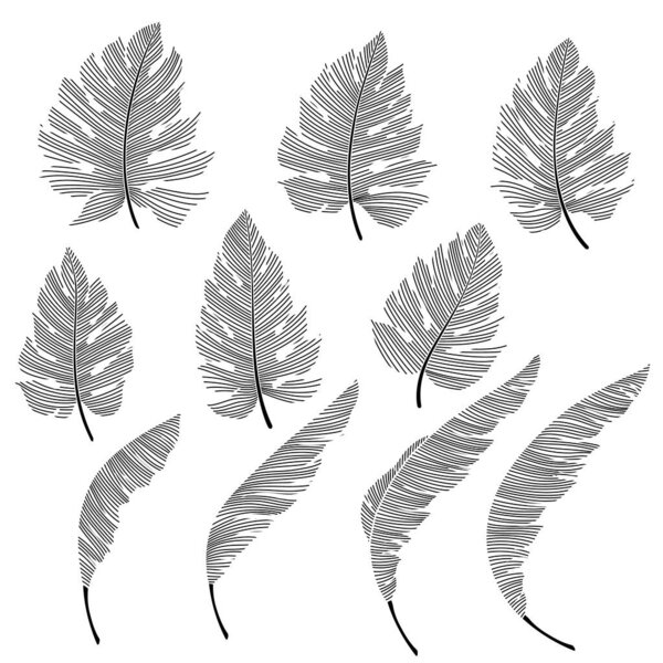 Абстрактный тропический рисунок,