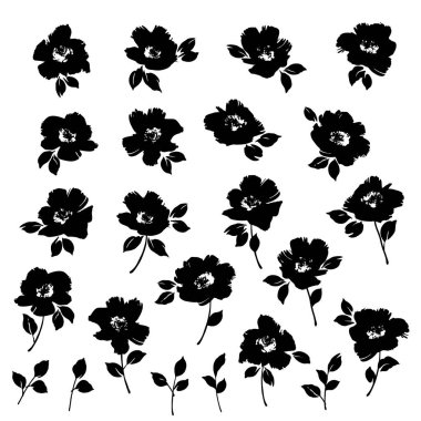 Tekstil tasarımı için çiçek koleksiyonu ideal,