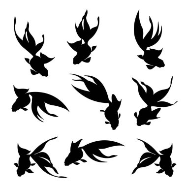 Zarifçe yüzen popüler bir Japon balığı.,