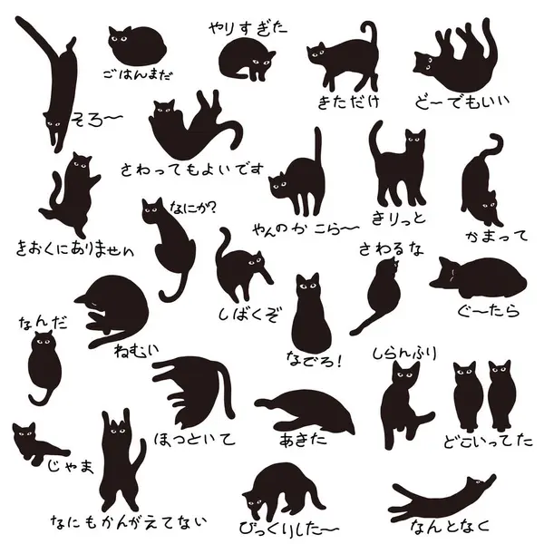 Eşsiz ve ilginç kedi resimleri koleksiyonu.,