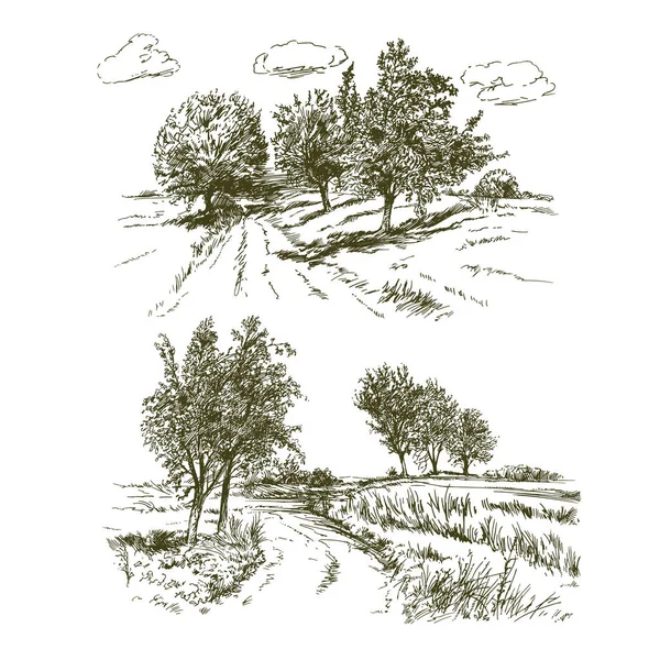 Rural Landscape Meadows Trees — Stock Vector