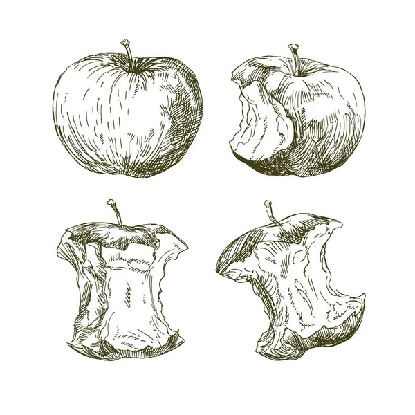Sada Ručně Kreslenou Jablek Vektorová Grafika