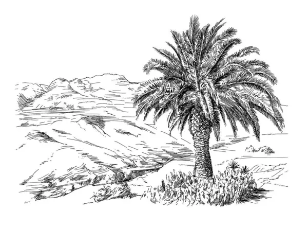 风景与棕榈树 免版税图库矢量图片