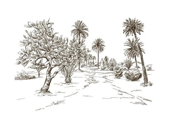 Landscape Palm Trees Stock Vector