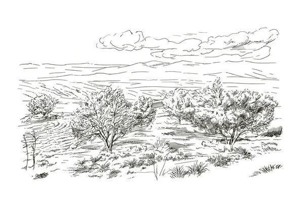 Сельский Пейзаж Рисунок Вручную Стоковая Иллюстрация