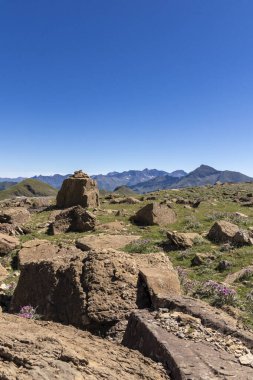 Dağ çayırı, kaya dağına karşı. Pireneler