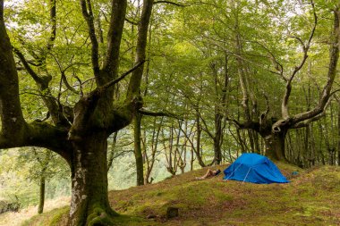 Kamp: Kadınlar Çevre dostu Eğlenceyi ve Kendine Bakımı Seviyor