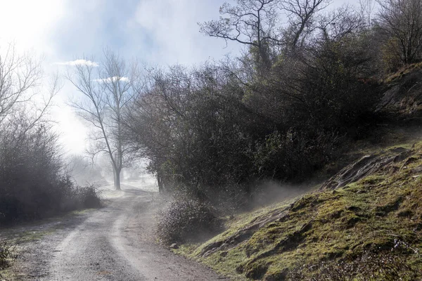 Mystical Mountain Road Viaje Surrealista Través Niebla — Foto de Stock