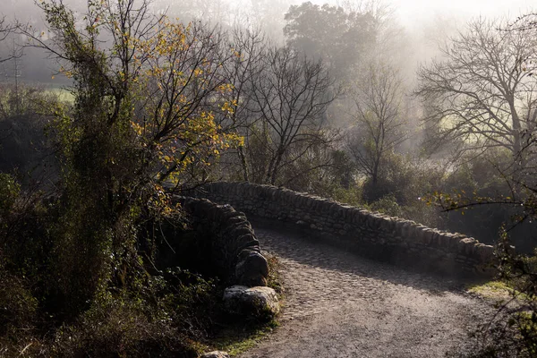 Мистическое Спокойствие Изучение Туманного Леса Древнего Моста Бизкая — стоковое фото