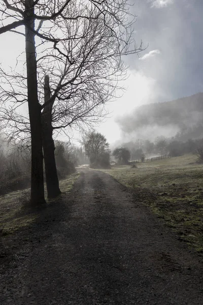 Lost Fog Discovering Haunting Landscape Moonlit Wilderness — стоковое фото