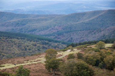 Sisli Gorbea Dağı 'nın Ortasında Gerçeküstü Macera