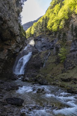 Doğa Senfonisi: Ordesa Ulusal Parkı 'nda Bir Bahar Şelalesinin Güzelliğini Büyüleyen