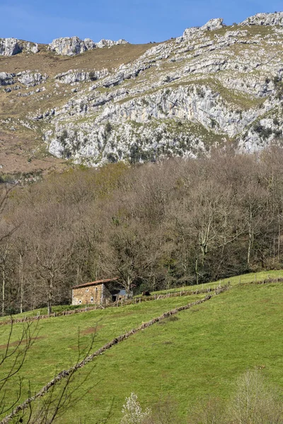 Kuzey Spanya Cantabria Daki Eski Dağ Evi Nin Huzuru — Stok fotoğraf