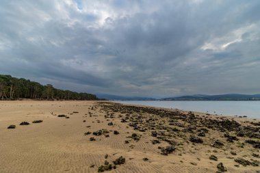 Büyüleyici Güzellik: Laredo, İspanya 'da Nehir Estuary Doğanın Huzurla Buluştuğu Yer