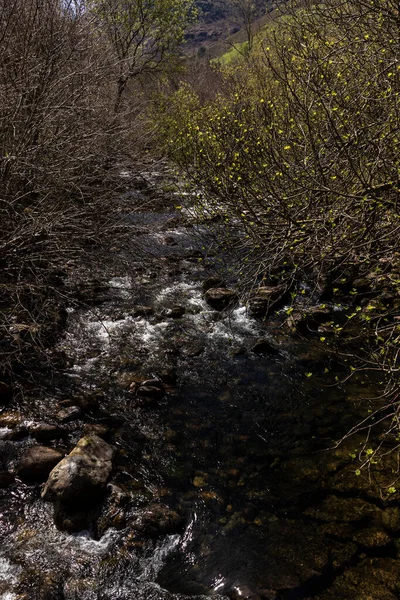 Capturando Majestade Crua Rio Selvagem Montanhoso Cantábria — Fotografia de Stock