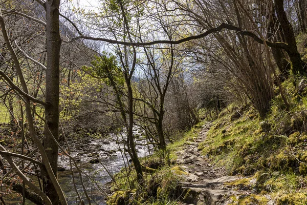 Cantabria Daki Dağ Nehrinin Büyüleyici Güzelliği Huzurlu Kaçış — Stok fotoğraf