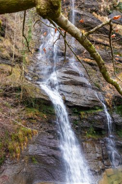 Büyüleyici Şelaleler: Bask manzaralarında Uguna Şelalesinin Büyüleyici Güzelliği