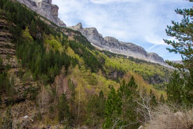 Yürüyüş Maceraları ve Görkemli Manzaralar Ordesa Ormanı 'nda Bekliyor