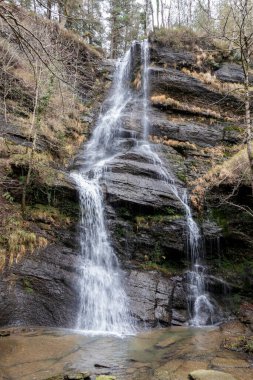 UGUNA Şelalesi 'nin bereketli Vizcayan Yeşilliği Ortasında Görkemli İnişi