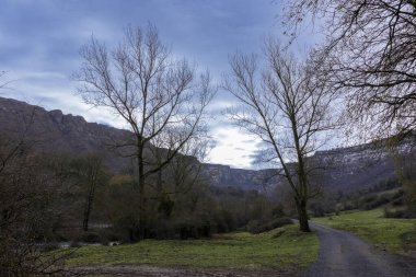 Vizcaya 'nın Doğanın Kalbindeki Kuzeyli Güzelliğini Keşfediyor