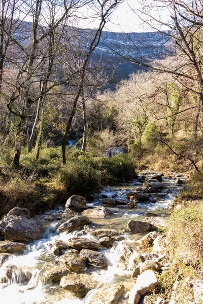 Кантабріан Уайлдернес Глімп Красу Північної Іспанської Річки — стокове фото