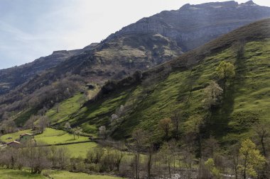 Doğanın Senfonisi: Cantabria 'nın Ormanları ve Dağ Vadilerinin Huzurlu Güzelliği