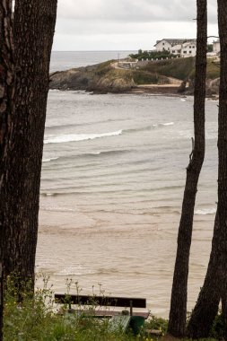 Huzurlu Sahil Manzarası: Ağaçlar Arasında, Bench Okyanusa ve Uçuruma Bakar