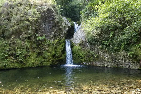 Hidden Gem Wilderness Waterfall Amidst Verdant Greenery Royalty Free Stock Images