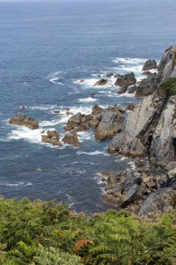 Sivri kayaları olan kayalık kıyı şeridi, beyaz dalgalı derin mavi okyanus ve ön planda yeşil yapraklar.