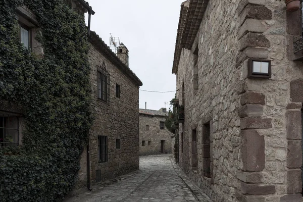 cobblestone street, lined with old stone buildings and ivy, under a cloudy sky